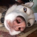 Eric Kaiser - @erickaiser6 - Instagram