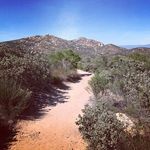Eric Kaiser - @pumahxx - Instagram