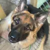 Eric Kaiser - @erickaiser03 - TikTok