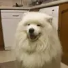 Erickaiser_ - @erickaiser_0 - TikTok