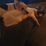 Rick Kamperman - @rickkamperman - Instagram