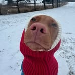 Eric Kaplan - Facebook