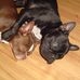 Eric Katzenberger - Facebook