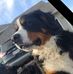 Eric Katzenberger - Facebook