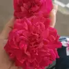 erickazee012 - @erickazee012 - TikTok