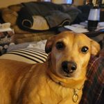 Eric Keaton - @erkeato888 - Instagram