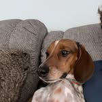 Eric Keaton - @e.keaton39 - Instagram