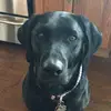 erickeefer563 - @erickeefer563 - TikTok