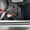 erickeenan898 - @erickeenan898 - TikTok