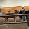 Erik.keeton - @erik_keeton - TikTok
