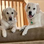 Eric Kellenberger - @ekellenb - Instagram