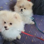 Eric Kellner - @ericdiyandvap - Instagram