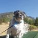 Eric Kellogg - Facebook