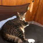 Eric Kellogg - @eric.kellogg.165 - Instagram