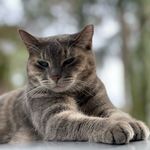 Eric Kellogg - @kpskellogg - Instagram