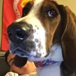 Eric Kelm - @kelmeric - Instagram