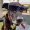 Erickelsoldado - @erickelsoldado - TikTok
