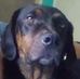 Eric Kelty - Facebook
