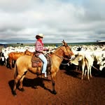 erick  emmerick  schott - @erickemmerickschott - Instagram