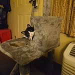 Eric Kempf - @eric.kempf1 - Instagram