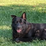 Eric Kendall - @erickendall74 - Instagram