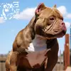 Erica Kennard - @erica.kennard - TikTok