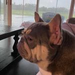 Eric Kennington - @erickenn88 - Instagram
