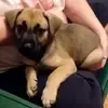 erickennison - @erickennison - TikTok