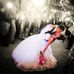 Eric Sinclair &amp; Courtney Kennon Wedding - Facebook