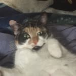 Eric Kenny - @ecton213 - Instagram