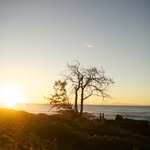 Eric - @erickeono - Instagram