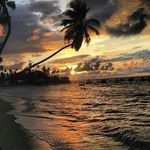 Eric Kerner - @erickerner - Instagram