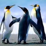 Eric Kessell Clef - @kessellclef - Instagram