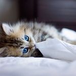 Eric Ketterer - @ketterer.eric - Instagram