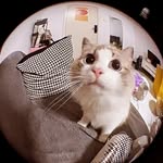 al random life - @erickhorlee - Instagram