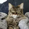 ericakieselhorst3 - @ericakieselhorst3 - TikTok