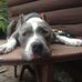 Eric Kildahl - Facebook