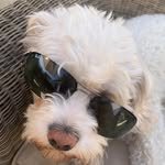 Eric Kilpatrick - @kilpatrick5385 - Instagram