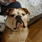 Erik Kilroy - @ekilroy1 - Instagram
