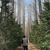 Eric Kim - @eric.kim26 - TikTok