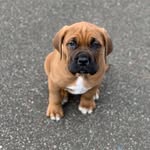 Eric Kinderman - @kindermaneric - Instagram