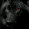 Eric King - @eric.king80 - TikTok