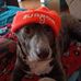 Eric Kinnett - Facebook