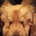 Eric Kinnison - Facebook