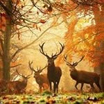 Eric Kintz - @kintzeric - Instagram