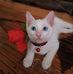 Arrik Opmac Kircam - Facebook