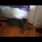Eric Kirkpatrick - @radarkp - Instagram
