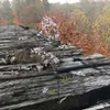 erickirkpatrick133 - @erickirkpatrick133 - TikTok