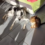 Eric Kissling - @erickissling - Instagram