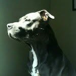 Eric Kling - @its_ya_boy_e - Instagram